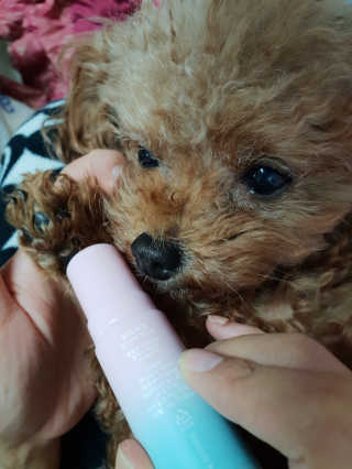 MijeongKim님이 올린 리뷰 사진 1
