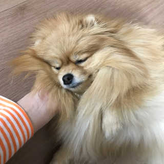sun1017j님이 올린 리뷰 사진 2