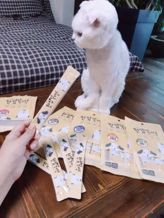 [펫토리아]짜먹는 한입뚝딱 강아지.고양이 마약간식 — 5점을 준 리뷰어가 2019년 8월 올린 사용 사진