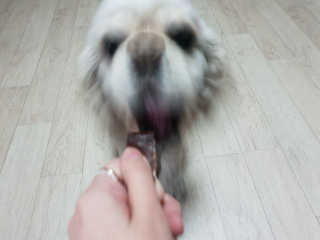 SohyeonLee님이 올린 리뷰 사진 3
