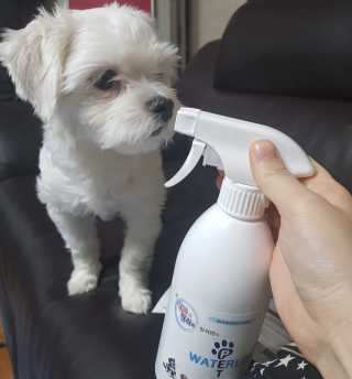 이효빈님이 올린 리뷰 사진 2