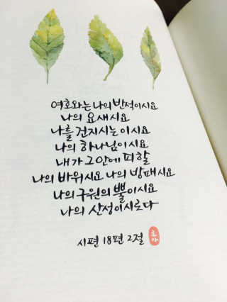 이성열님이 올린 리뷰 사진 2