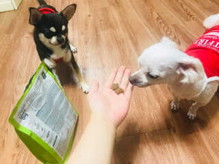 훈제님이 올린 리뷰 사진 3