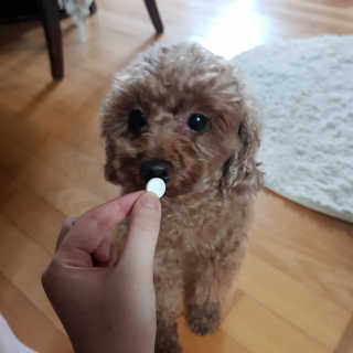 유나님이 올린 리뷰 사진 3