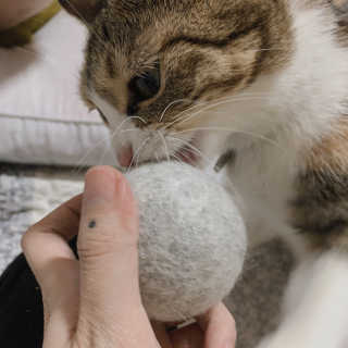 린서님이 올린 리뷰 사진 3