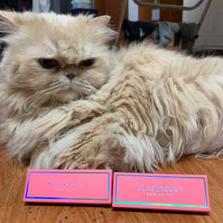 [블랙루즈] 로즈 벨벳 립스틱 택1+랜덤1 — 3점을 준 리뷰어가 2019년 1월 올린 사용 사진