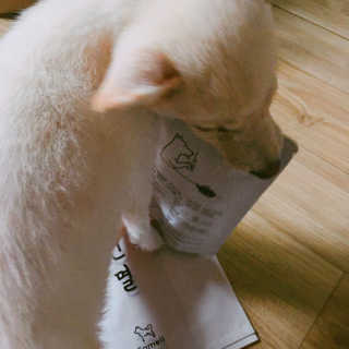 강크성미님이 올린 리뷰 사진 3