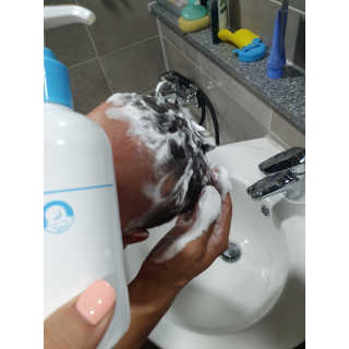 대박꼬북님이 올린 리뷰 사진 2