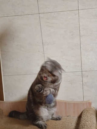 슨님이 올린 리뷰 사진 3