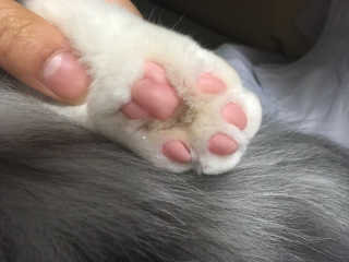 핸쑤님이 올린 리뷰 사진 2