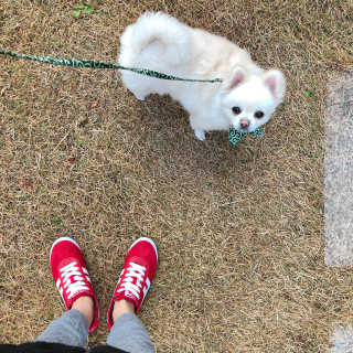 송주아님이 올린 리뷰 사진 1