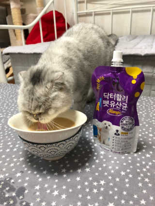 닥터할리펫밀크 8종 — 5점을 준 리뷰어가 2018년 10월 올린 사용 사진