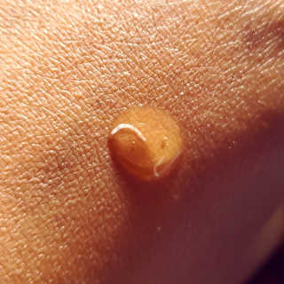 앰플엔 암 페트 펩티드 샷 AMPOULE — 5점을 준 리뷰어가 2019년 5월 올린 사용 사진