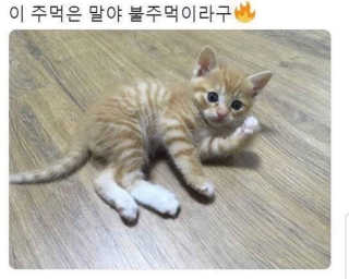 [매일유업] 우유속에 어쩌구_7개 모바일쿠폰 — 5점을 준 리뷰어가 2019년 6월 올린 사용 사진