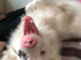나경뿌님이 올린 리뷰 사진 3