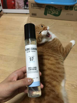 더블유드레스룸 드레스퍼퓸 150ml — 4.67점을 준 리뷰어가 2018년 8월 올린 사용 사진