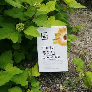 네츄럴굿띵스 오!메가루테인 60일분 — 4.5점을 준 리뷰어가 2018년 5월 올린 사용 사진
