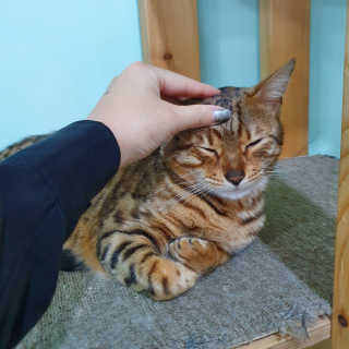 효니스타일님이 올린 리뷰 사진 3