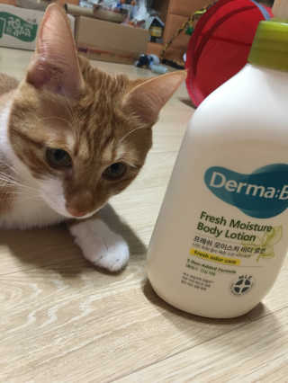 밍밍이이잉님이 올린 리뷰 사진 3