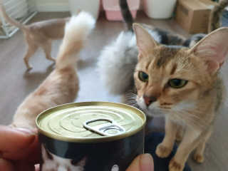 김은둥님이 올린 리뷰 사진 4