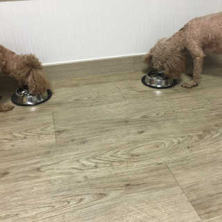 소리나리님이 올린 리뷰 사진 3