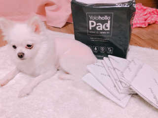 영블리님이 올린 리뷰 사진 2
