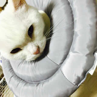 유솔님이 올린 리뷰 사진 3