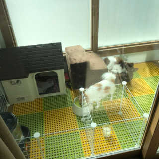 hasso님이 올린 리뷰 사진 2