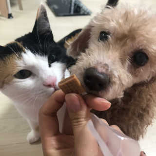 봄날님이 올린 리뷰 사진 4