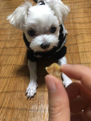 융쓰쓰님이 올린 리뷰 사진 1