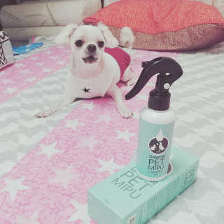도담님이 올린 리뷰 사진 3