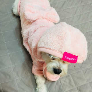 당근님이 올린 리뷰 사진 2