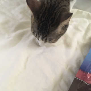 잉바니님이 올린 리뷰 사진 3