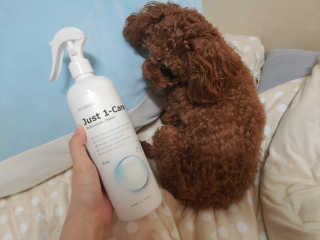 [펫토리아] 뚝딱케어 강아지 고양이 다목적세정제 — 5점을 준 리뷰어가 2020년 2월 올린 사용 사진