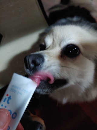 HajinLee님이 올린 리뷰 사진 3
