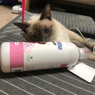 Canteen님이 올린 리뷰 사진 3