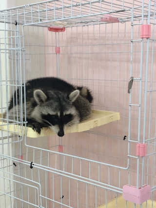 cocoa님이 올린 리뷰 사진 4