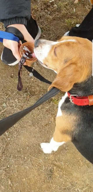 beaglelove님이 올린 리뷰 사진 1