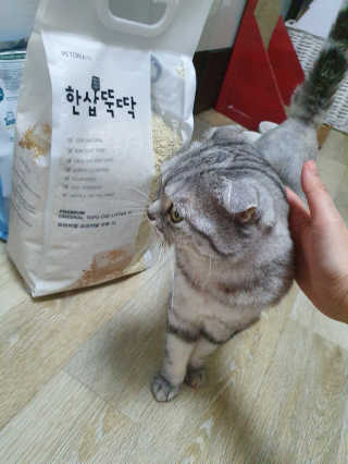 파랑텀블러님이 올린 리뷰 사진 2
