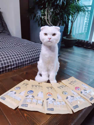[펫토리아]짜먹는 한입뚝딱 강아지.고양이 마약간식 — 5점을 준 리뷰어가 2019년 8월 올린 사용 사진