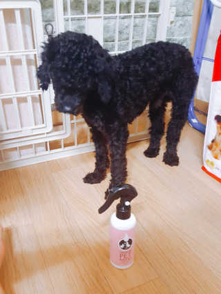 쑤쏭님이 올린 리뷰 사진 1