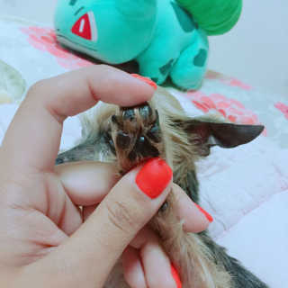 성유진님이 올린 리뷰 사진 2