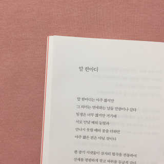 채채님이 올린 리뷰 사진 2