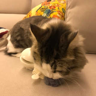 라라쓰님이 올린 리뷰 사진 3