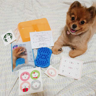 은선이짱님이 올린 리뷰 사진 1
