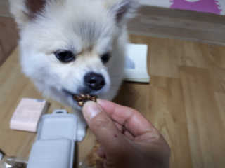 고가을님이 올린 리뷰 사진 3