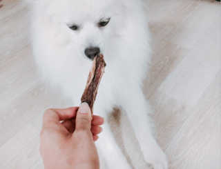 루이님이 올린 리뷰 사진 1