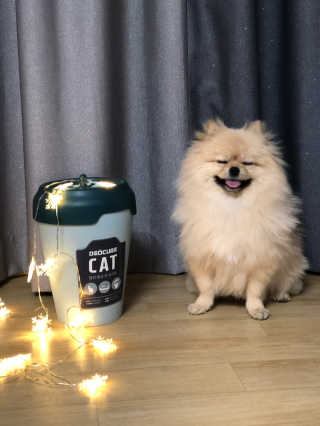berryjjung님이 올린 리뷰 사진 4