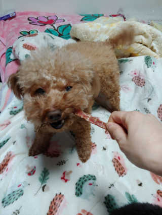 yoniyo99님이 올린 리뷰 사진 2