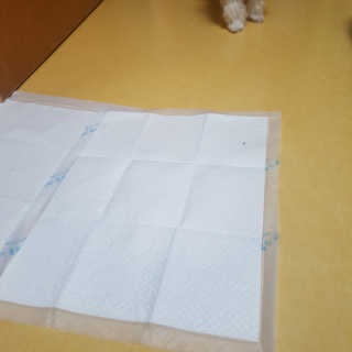 뽀오오옹님이 올린 리뷰 사진 2